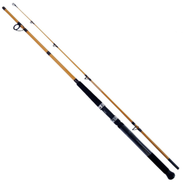 Caña Daiwa FT Surf 8 pies