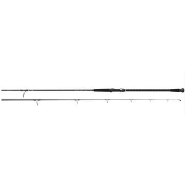 Caña Daiwa Emcast Surf 9 pies